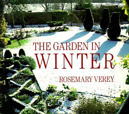 Tapa de The garden in winter