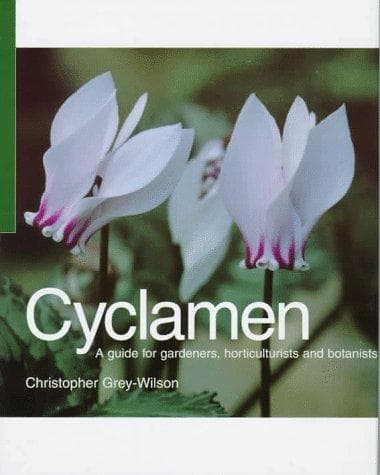 Tapa de Cyclamen