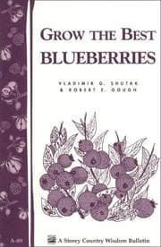 Tapa de Grow the Best Blueberries