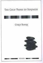 Tapa de The Cold Panes of Surfaces (Junction Books)