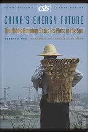Tapa de China's energy future