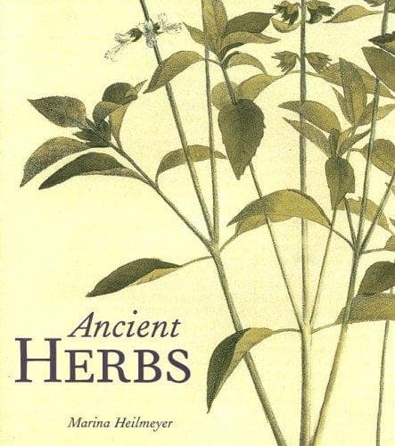 Tapa de Ancient herbs