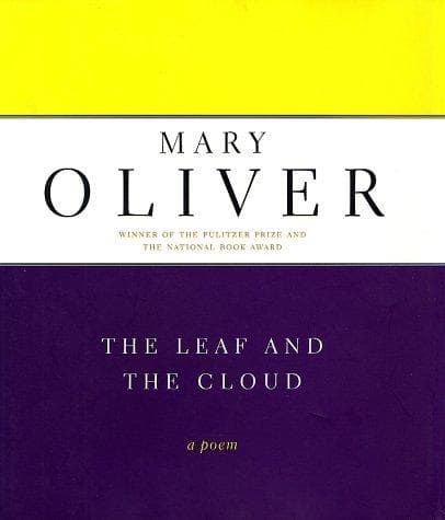 Tapa de The Leaf and the Cloud