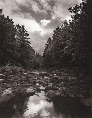 Tapa de To save a river
