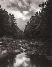Tapa de To save a river