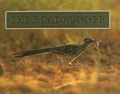 Tapa de The Roadrunner