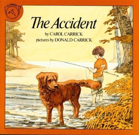 Tapa de The Accident