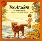 Tapa de The Accident