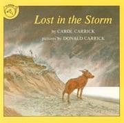 Tapa de Lost in the Storm