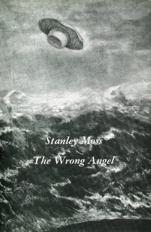 Tapa de The wrong angel