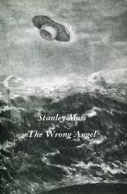 Tapa de Wrong Angel, The