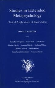 Tapa de Studies in Extended Metapsychology