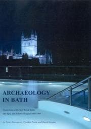 Tapa de Excavations at the New Royal Baths (the Spa) and Bellott's Hospital, 1998-1999