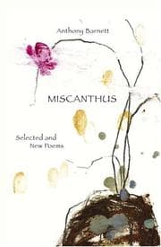 Tapa de Miscanthus