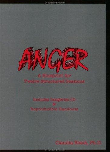 Tapa de Anger Guide