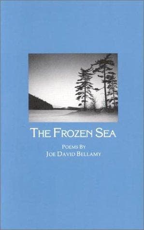 Tapa de The frozen sea