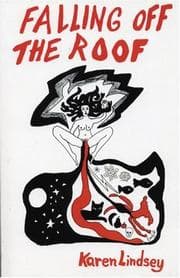 Tapa de Falling off the roof