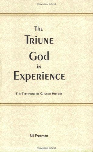 Tapa de The triune god in experience