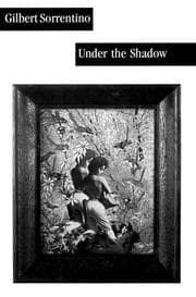Tapa de Under the shadow