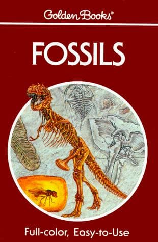 Tapa de Fossils