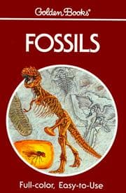 Tapa de Fossils
