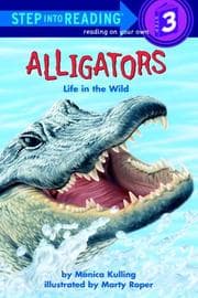 Tapa de Alligators