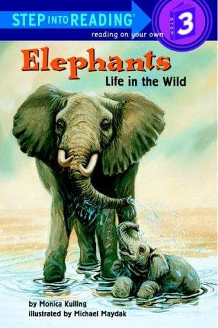 Tapa de Elephants