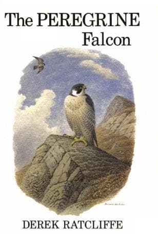 Tapa de The peregrine falcon