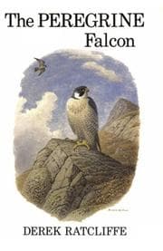 Tapa de The peregrine falcon