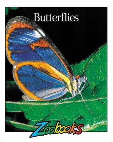 Tapa de Butterflies