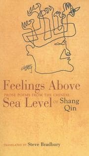 Tapa de Feelings Above Sea Level
