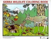 Tapa de Sierra Wildlife Coloring Book