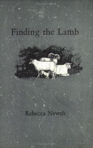 Tapa de Finding the lamb