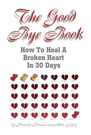 Tapa de The good bye book
