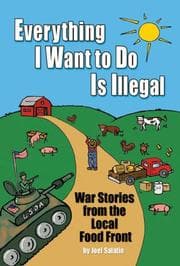 Tapa de Everything I Want To Do Is Illegal