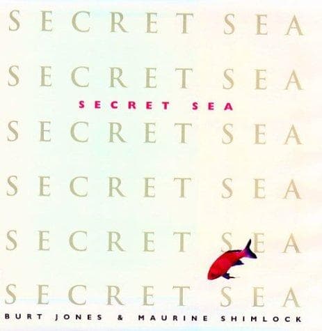 Tapa de Secret sea