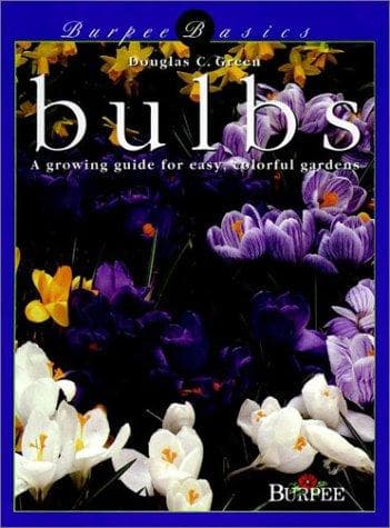 Tapa de Bulbs