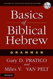 Tapa de Basics of Biblical Hebrew grammar