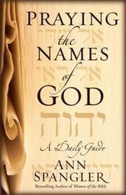 Tapa de Praying the Names of God