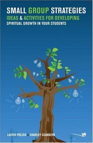 Tapa de Small group strategies