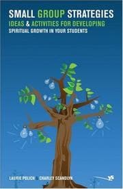 Tapa de Small group strategies