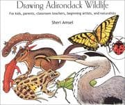 Tapa de Drawing Adirondack Wildlife