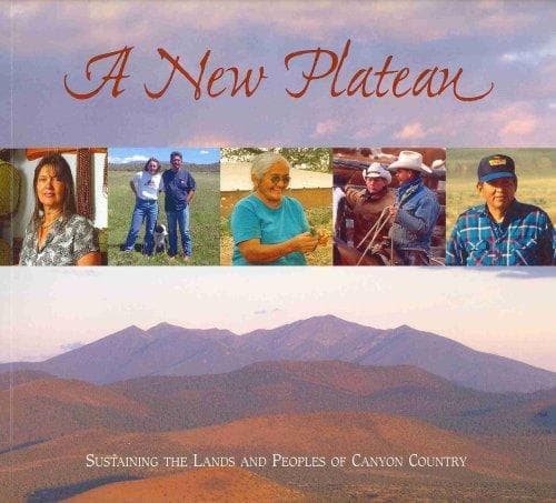 Tapa de A New Plateau