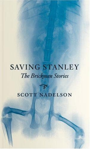 Tapa de Saving Stanley
