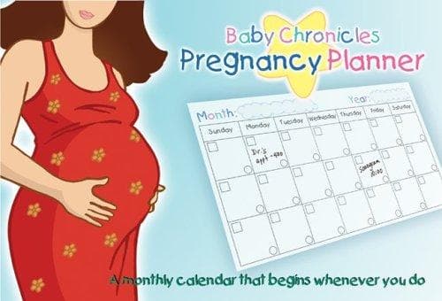 Tapa de Baby Chronicles Pregnancy Planner
