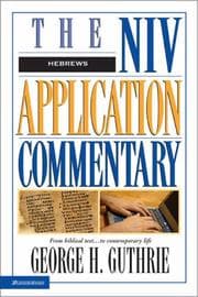 Tapa de NIV Application Commentary