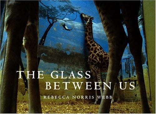 Tapa de The Glass Between Us