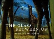 Tapa de The Glass Between Us