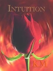 Tapa de Intuition