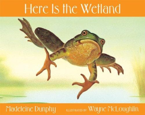 Tapa de Here Is the Wetland (Here Is...)